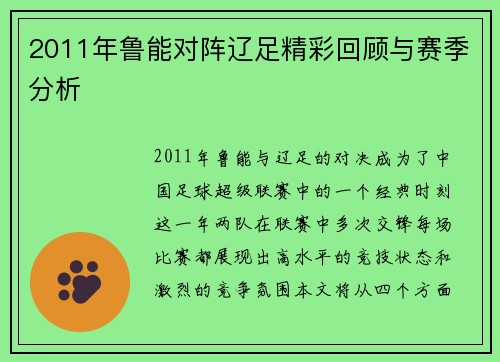2011年鲁能对阵辽足精彩回顾与赛季分析