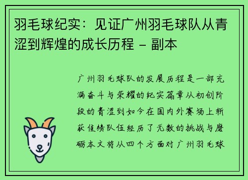 羽毛球纪实：见证广州羽毛球队从青涩到辉煌的成长历程 - 副本